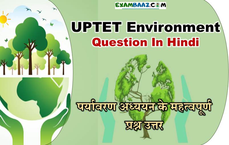 UPTET Environment Question In Hindi 