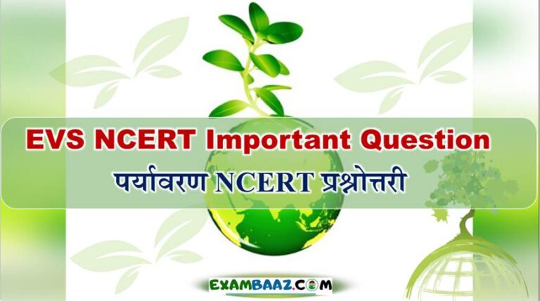 EVS NCERT Important Question For CTET Exam