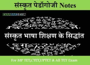 संस्कृत भाषा शिक्षण के सिद्धांत | संस्कृत पेडॉगोजी Notes