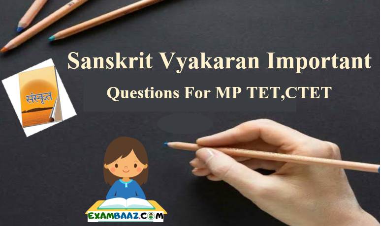 Sanskrit Vyakaran Question For MP TET