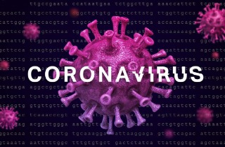 Coronavirus (COVID-19) Top GK Questions