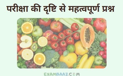 Fruits Name In Sanskrit 