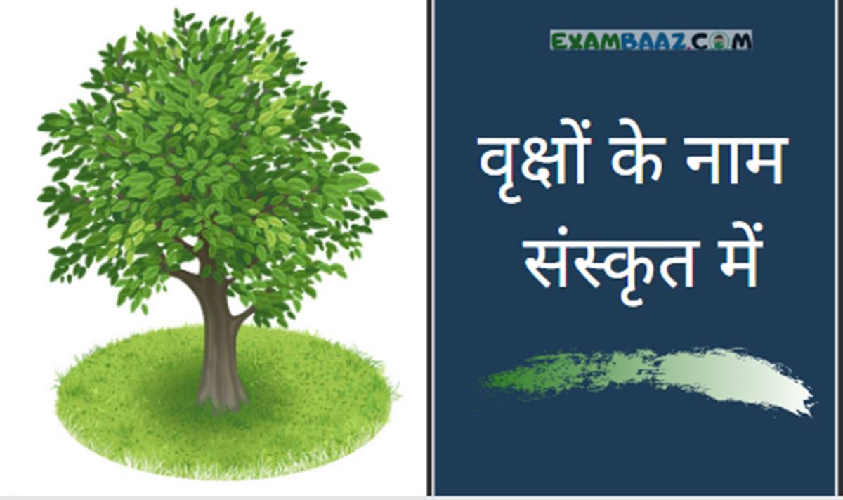 Trees Name In Sanskrit
