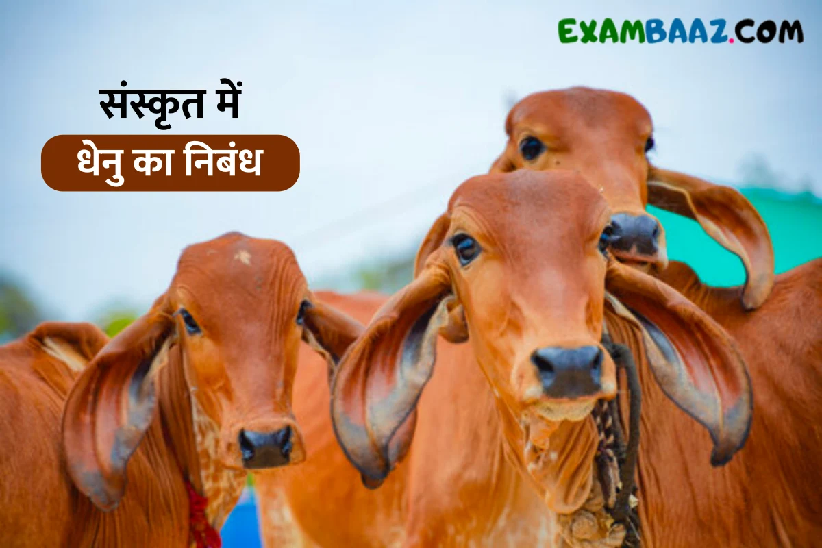 essay on cow in sanskrit
