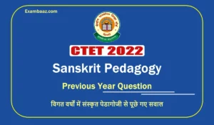 CTET 2022 Sanskrit Pedagogy PYQ: पिछले वर्ष आयोजित सीटेट परीक्षा में संस्कृत पेडगॉजी से पूछे गए इन सवालों से करें आगामी सीटेट परीक्षा की, बेहतर तैयारी