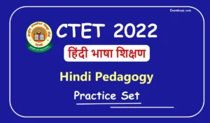 CTET HINDI Model Test Paper 2022: हिंदी भाषा के कुछ ऐसे ही सवाल दिसंबर में होने वाली सीटेट परीक्षा में पूछे जाएंगे, एक नजर जरूर पढ़ें