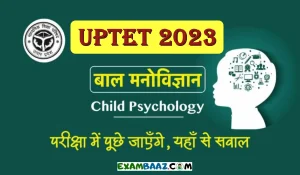 UPTET 2023: बाल मनोविज्ञान की यूपीटीईटी परीक्षा में बाल मनोविज्ञान से हमेशा पूछे जाने वाले कुछ चुनिंदा प्रश्न, यहां पढ़िए